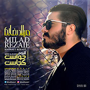 Milad Rezaei – Havaset Kojast