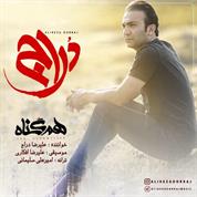 Alireza Dorraj – Hamgonah