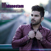Shahab Hossein Zadeh – Midounestam
