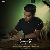 Ebrahim Fallah – Havaye To