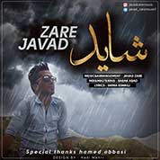 Javad Zare – Shayad