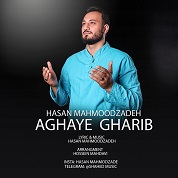 Hasan Mahmoodzadeh – Aghaye Gharib