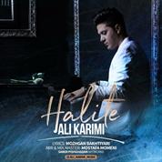 Ali Karimi – Halite