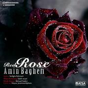 Amin Bagheri – Red Rose
