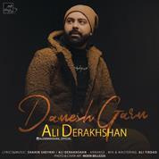 Ali Derakhshan – Damesh Garm
