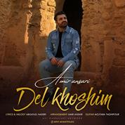 Amir Ansari – Delkhoshim