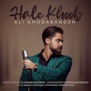 Ali Khodabandeh – Hale Khoob