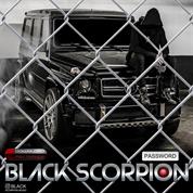 Black Scorpion Music – Password