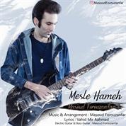 Masoud Forouzanfar – Mesle Hameh