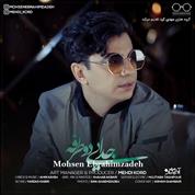 Mohsen Ebrahimzadeh – Jodaei Do Tarafeh