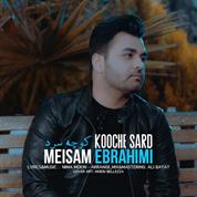 Meysam Ebrahimi – Kooche Sard