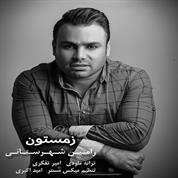 Ramin Shahrestani – Zemestoon