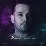 Saeid Feshki – Namardi