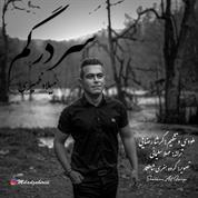 Milad Zahiri – Sar Dar Gom