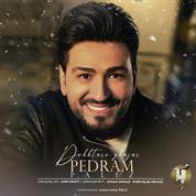 Pedram Paliz – Dokhtare Ghajar