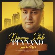 Peyvand – Divaneye Shahr