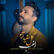 Ragheb – Gole Sefide Arezoo