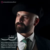 Mohammad Hematian