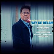 Ahmadreza Nabizadeh – Vay Ke Delam