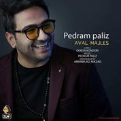 Pedram Paliz – Aval Majles (Teaser Version)