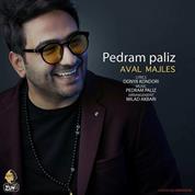 Pedram Paliz – Aval Majles