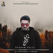 Pedram Paliz – Ey Ashnaye Man