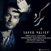 Saeed Valiey – Bargard