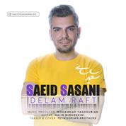 Saeid Sasani – Delam Raft