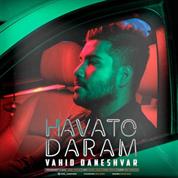 Vahid Daneshvar – Havato Daram