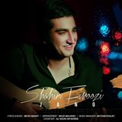 Shahin Firoozi – Jang