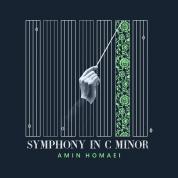 Amin Homaei – Symphony in C Minor