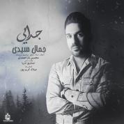 Jamal Seyedi – Jodaei