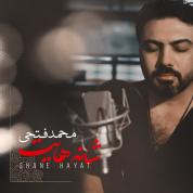 Mohamad Fathi – Shanehayat