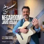 Javid Asgari – Negaroom