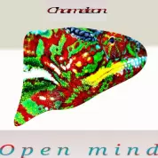 Open Mind – Chameleon