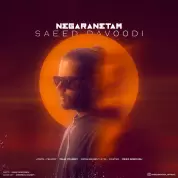 Saeed Davoodi – Negaranetam