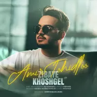 Amir Tohidloo