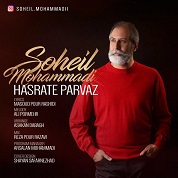 Soheil Mohammadi – Hasrate Parvaz