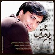 Majid Akhshabi – Be Taame Ghesse o Asal