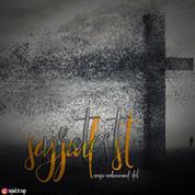 Sajad St – Protest