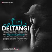Mohammad Amin Esfandiyari – Deltangi