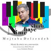 Mojtaba Delzendeh – Nimehaye Shab