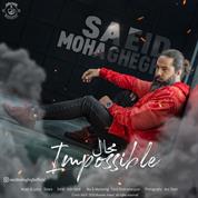 Saeid Mohaghegh – Mahal