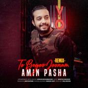 Amin Pasha – To Begoo Joonam (Remix)