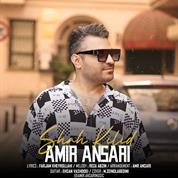 Amir Ansari – Shah Kilid