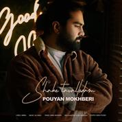 Pouyan Mokhberi – Shabe Tavalodam