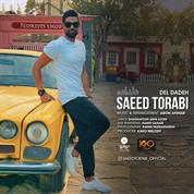 Saeed Torabi – Del Dadeh