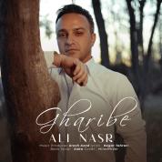 Ali Nasr – Gharibe