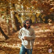 AmirAbbas Golab – Paeez Delam