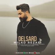 Milad Rezaei – Delsard